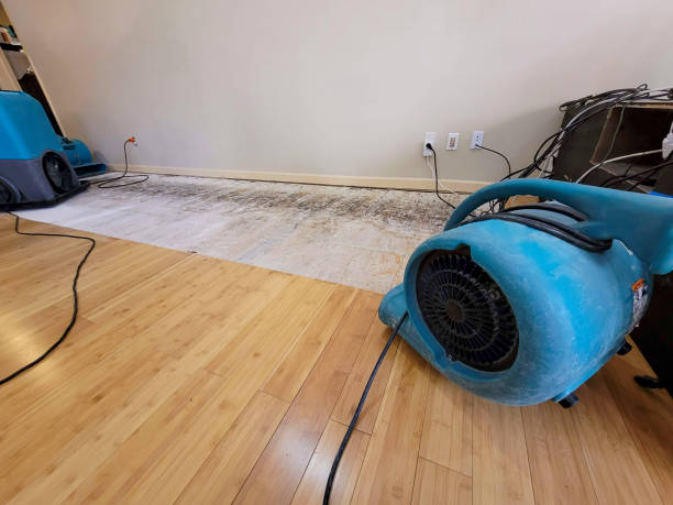 Professional Emergency Water Damage technician working in Westphalia, MI
